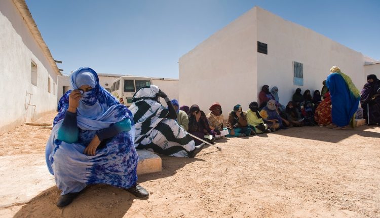 نيويورك.. التنديد بانتهاكات حقوق المرأة في مخيمات تندوف